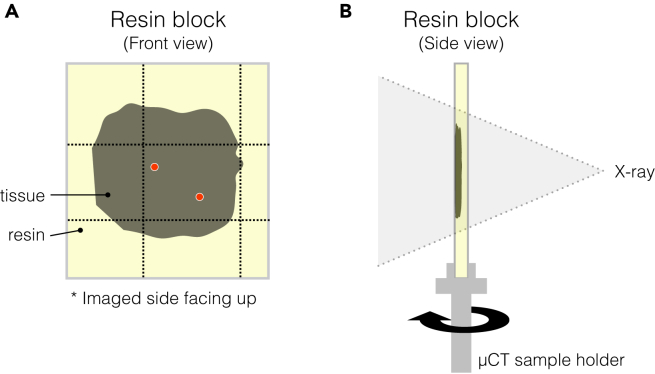 Figure 9