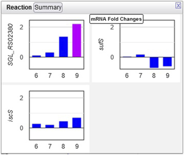 FIGURE 7