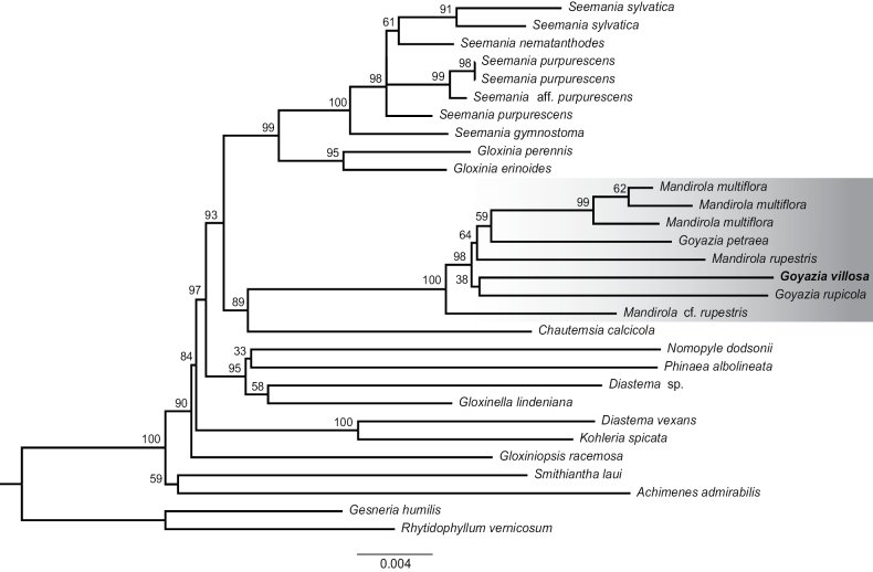 Figure 4
