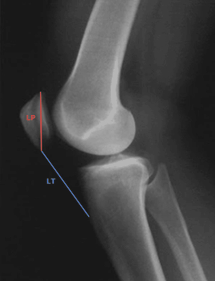 Figure 7