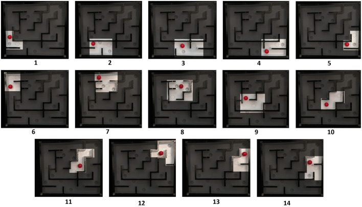 Figure 6