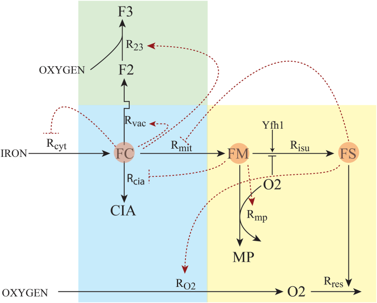 Figure 9