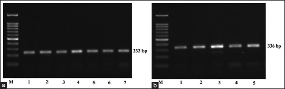 Figure-6