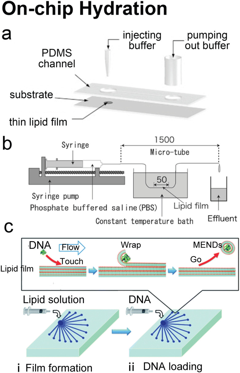 Figure 12