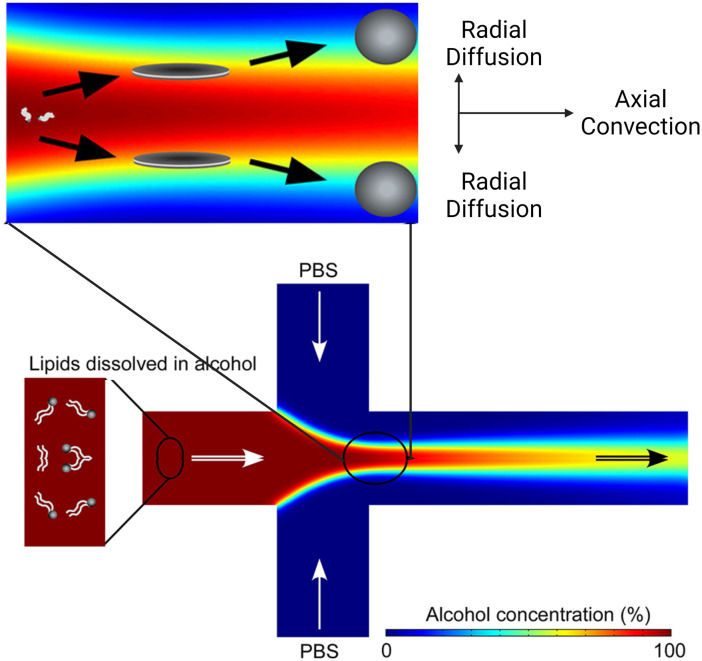 Figure 28