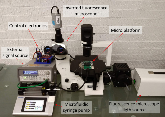 Figure 30