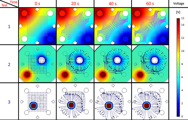 Figure 31