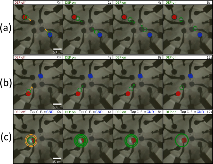 Figure 34
