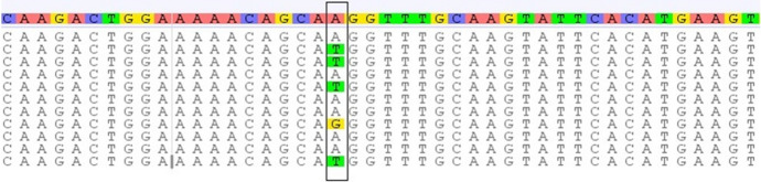 Figure 6