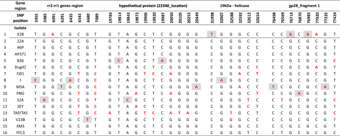 Figure 5