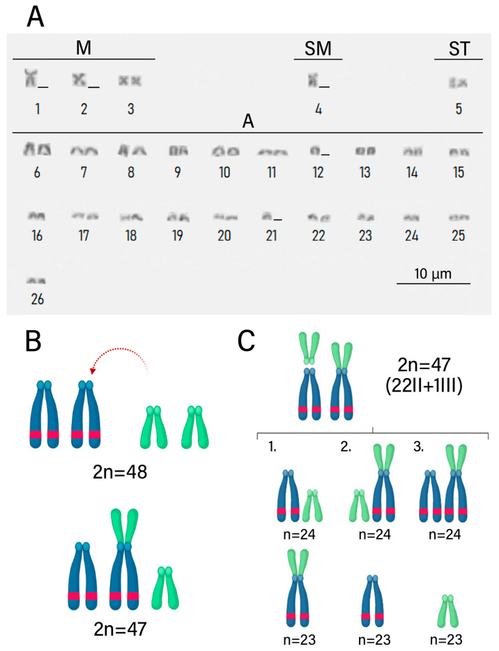 Figure 5
