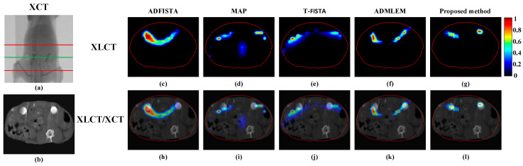 Figure 12