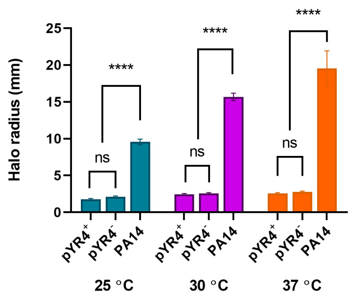 Figure 5