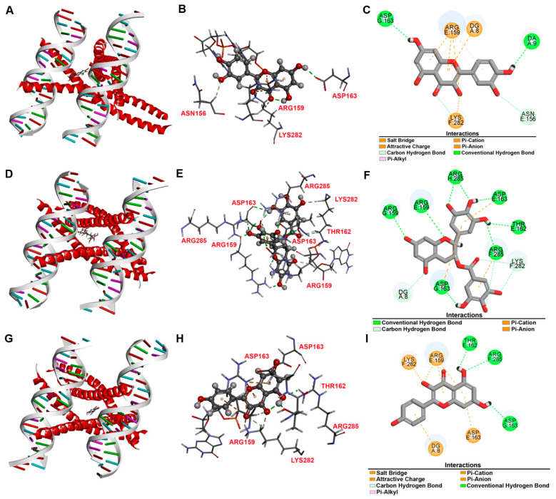 Figure 13