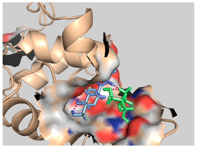 Figure 4