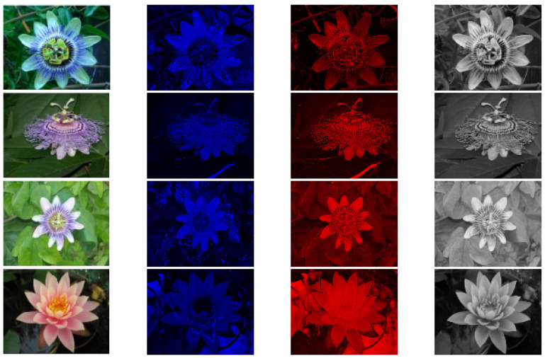Figure 24