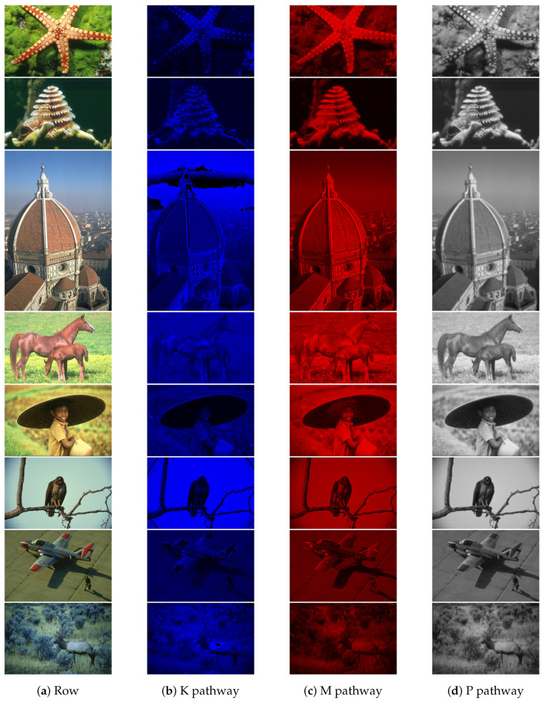 Figure 25