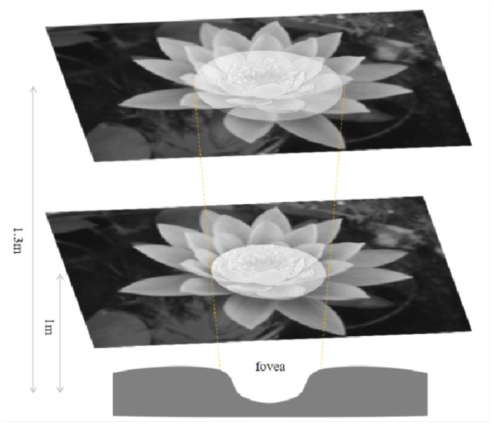 Figure 26