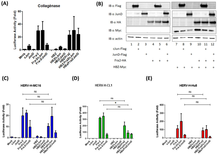 Figure 6