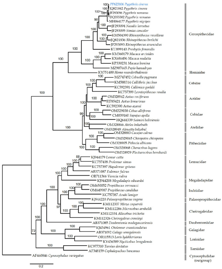 Figure 6