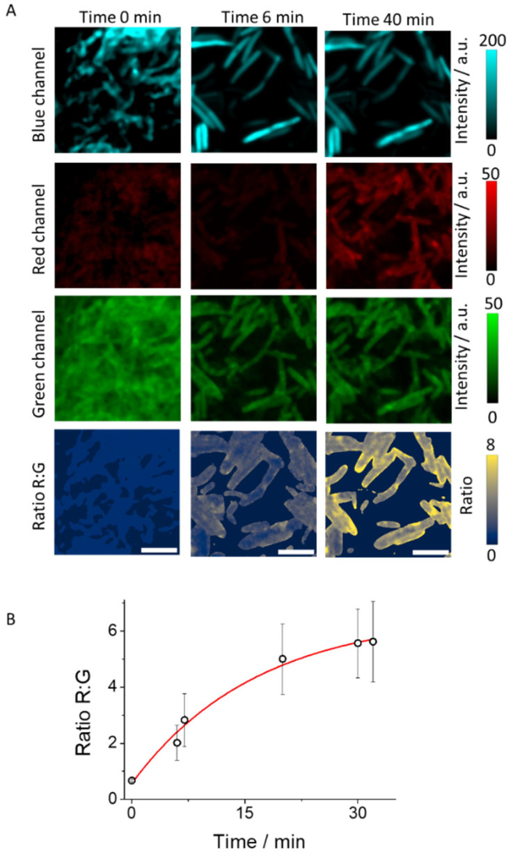 Figure 6
