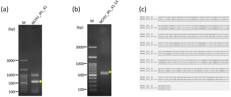 Figure 5