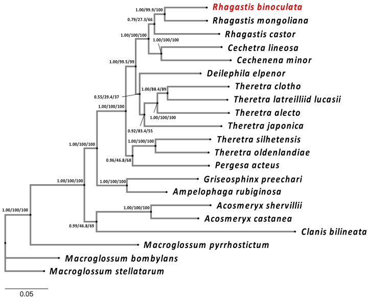 Figure 6