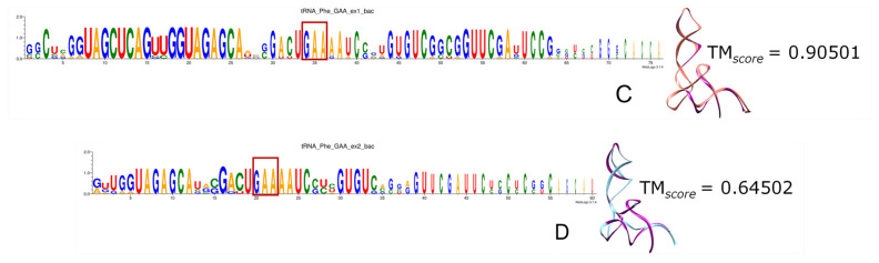 Figure 12