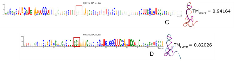 Figure 13