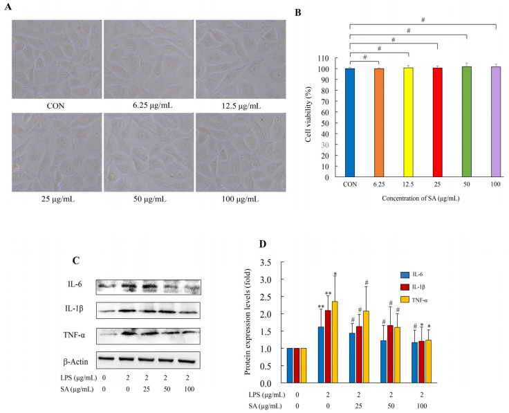 Figure 10