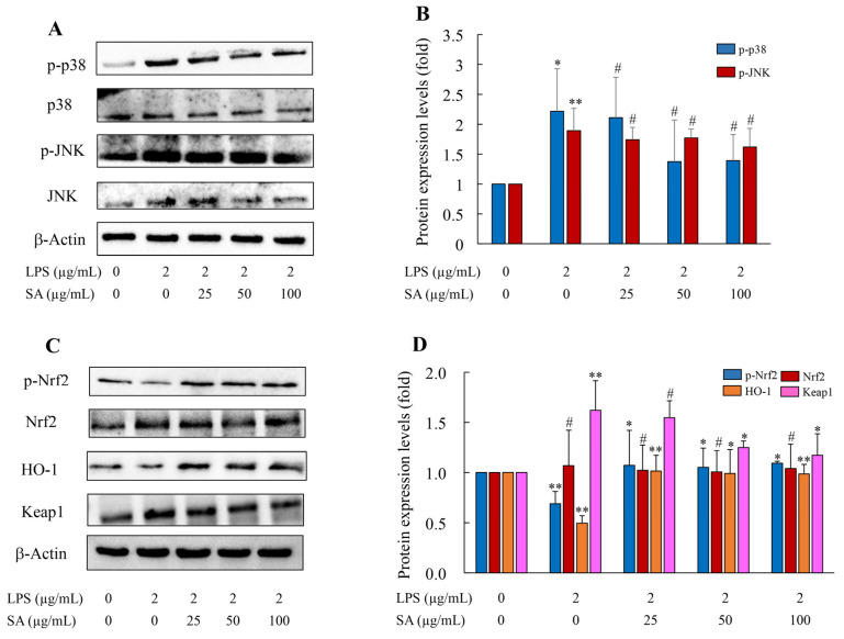 Figure 12