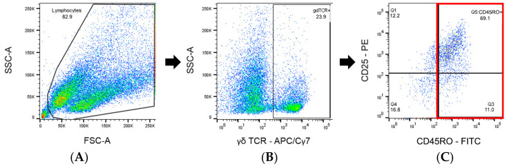 Figure 13