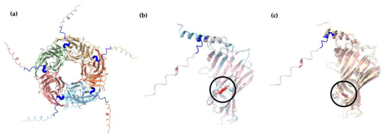 Figure 11
