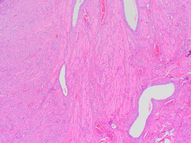Figure 4