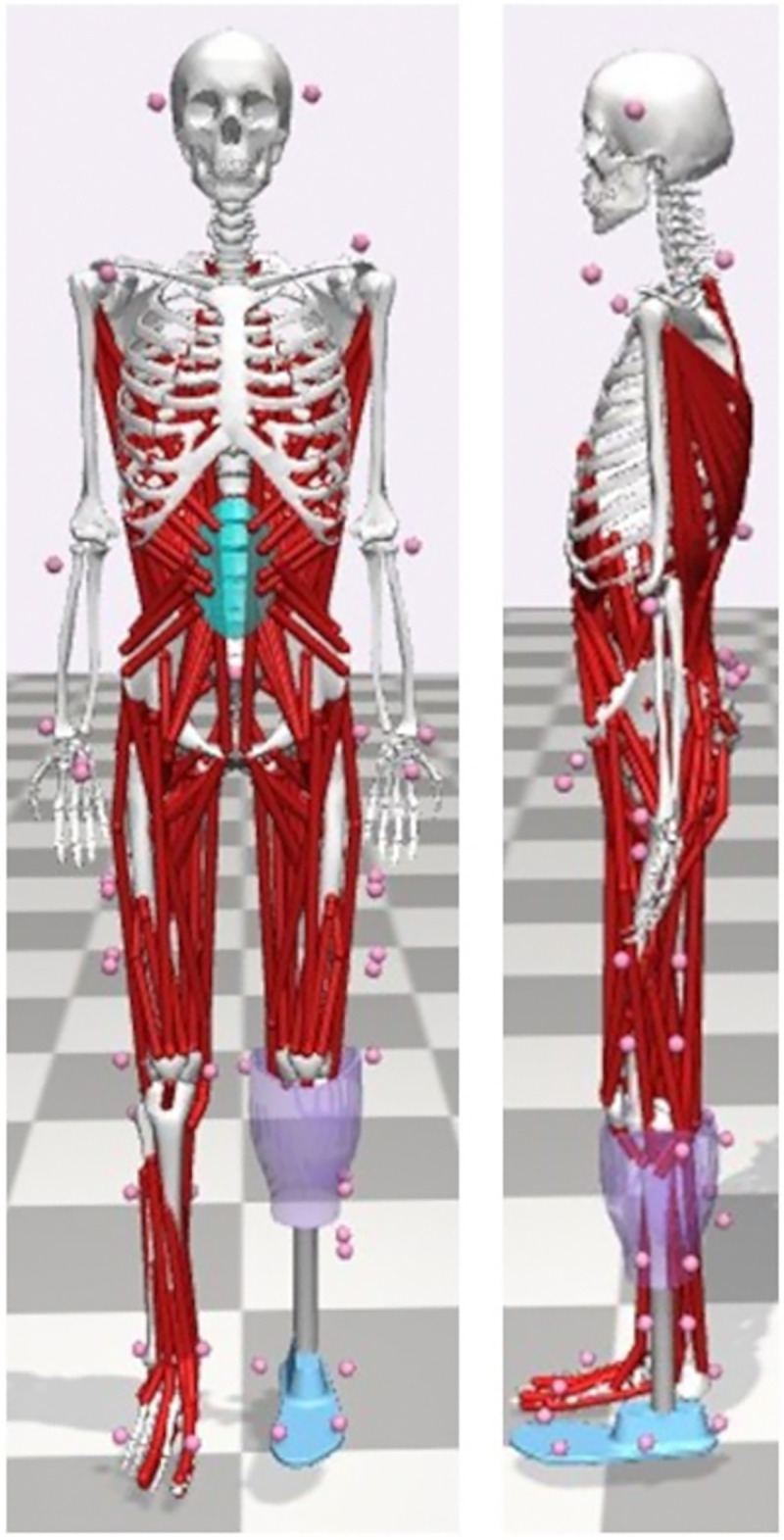 Fig 3