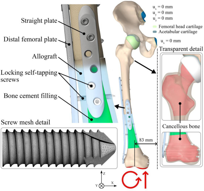 Fig 3