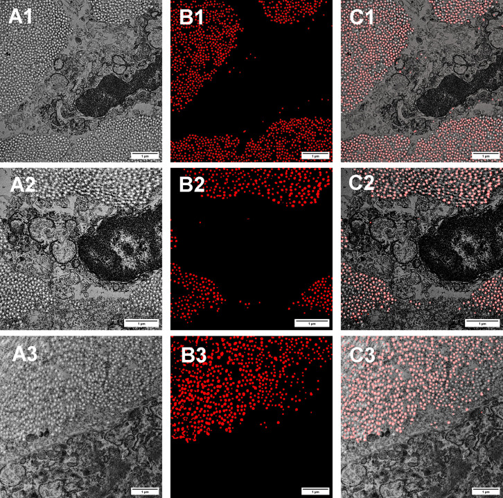 Fig 4