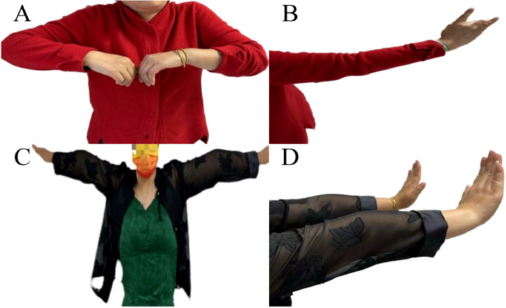 Figure 2