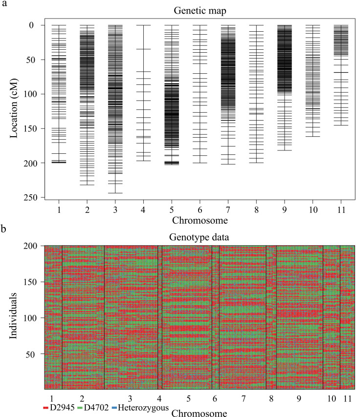 Figure 2