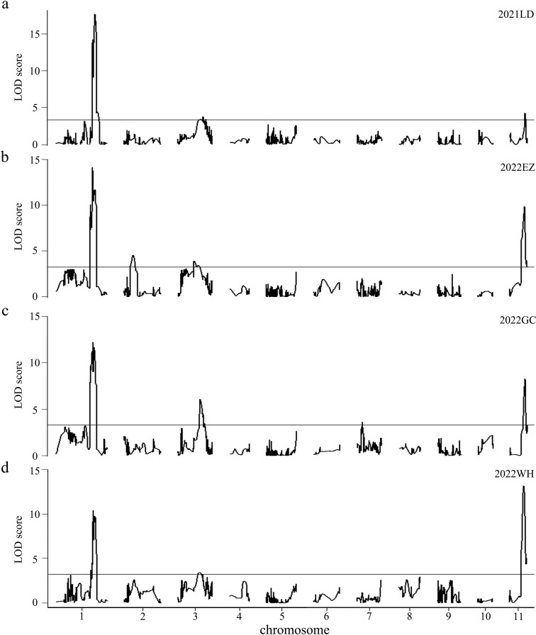 Figure 3