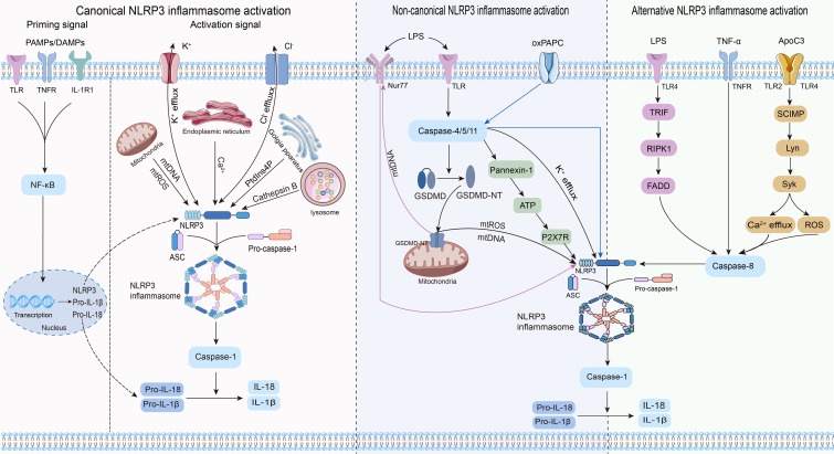 Figure 2