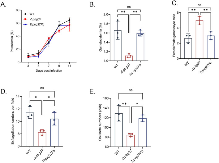 Figure 2