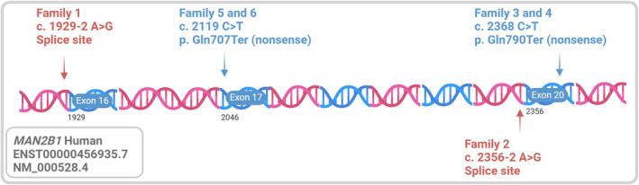 FIGURE 1