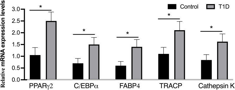 Figure 6