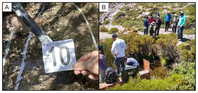Figure 12