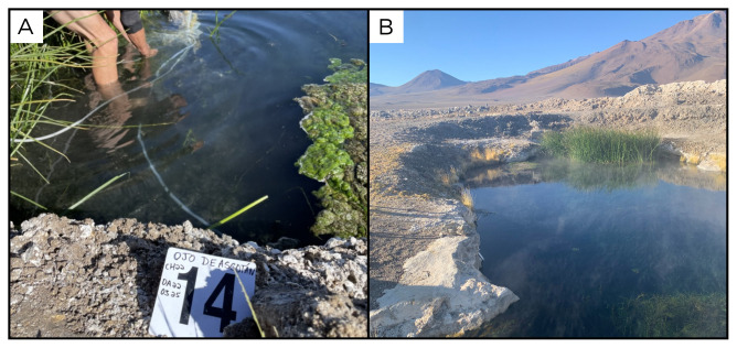 Figure 16