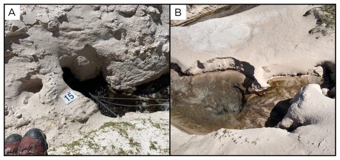 Figure 17