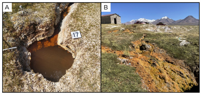 Figure 19