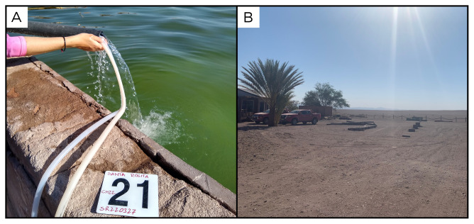 Figure 23