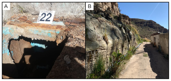 Figure 24
